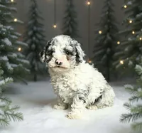 processed/7dfd4f44-f748-4ca1-aa9b-d76b209597d6/listing/adfcb159-f790-46d8-bfb1-8c07faee2178/56582559-a2c8-4906-a72a-bfda0c6f403c