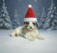 processed/7dfd4f44-f748-4ca1-aa9b-d76b209597d6/listing/adfcb159-f790-46d8-bfb1-8c07faee2178/f1f0e392-7b18-4d75-b169-d2f3d3860d03