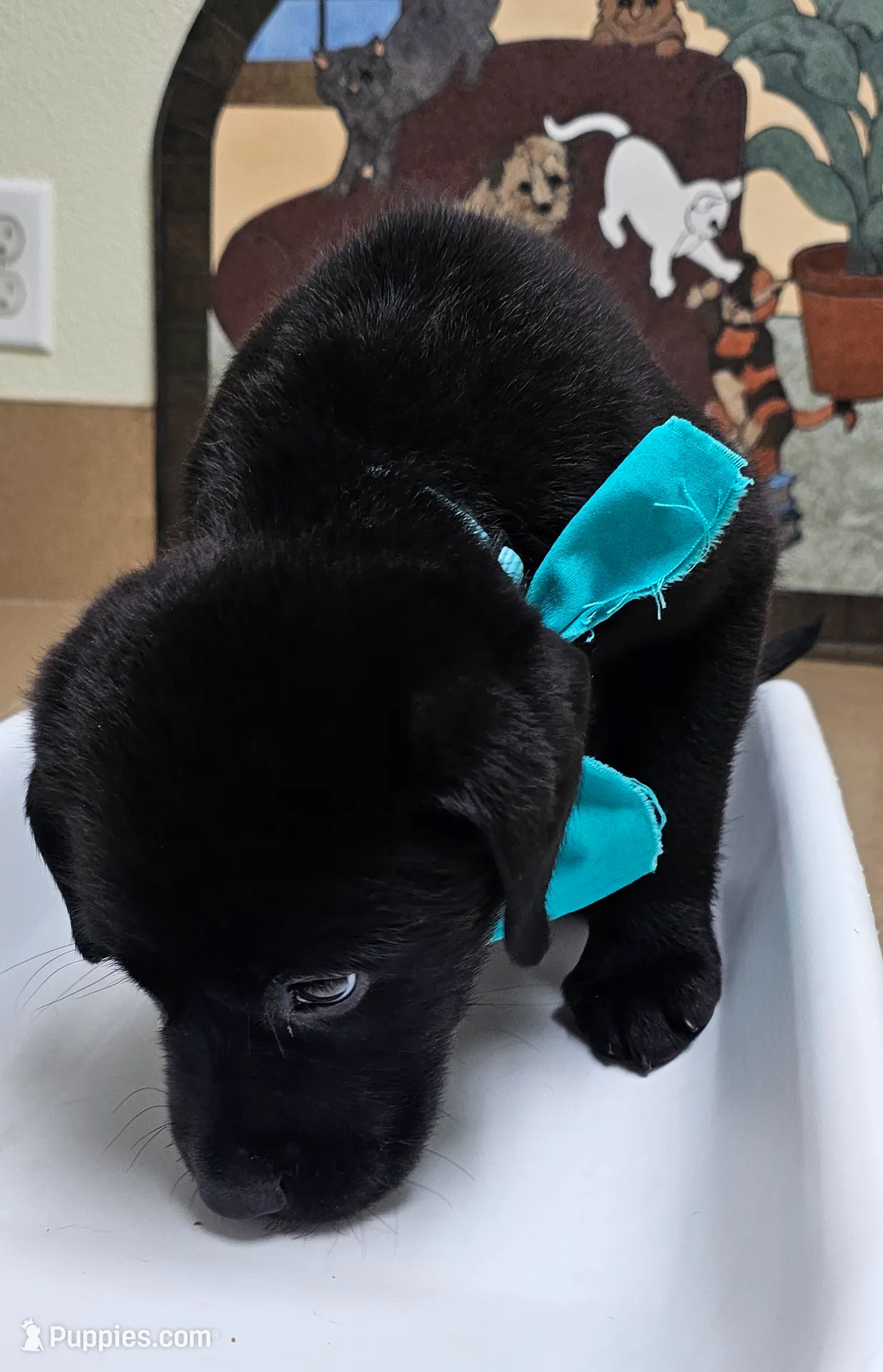 processed/7e10aebd-6c87-4c20-84ed-9e21ac3a1a50/listing/6cf026c7-c25c-4e7a-9216-8d364d635c80/7f7ae710-6029-46ba-9f1a-d58a1e561eac