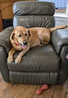 processed/7e10aebd-6c87-4c20-84ed-9e21ac3a1a50/listing/af1b56ca-5f8a-4b50-ad59-e5b0686c1513/8e7cf66e-2a3d-4807-94a3-294992cb08e2