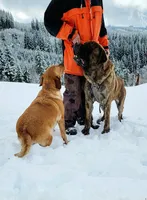 processed/7e10aebd-6c87-4c20-84ed-9e21ac3a1a50/listing/af1b56ca-5f8a-4b50-ad59-e5b0686c1513/d144c347-b5ef-4cf4-9963-34bb011de90c