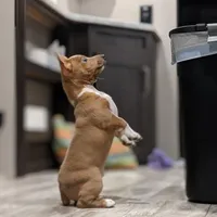 processed/7e13a1a8-26d2-4c0a-80b2-1f96a9f5bca6/facility/1f5eedcc-778b-44e9-aef8-4465e2c93d84