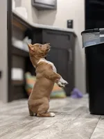 processed/7e13a1a8-26d2-4c0a-80b2-1f96a9f5bca6/facility/1f5eedcc-778b-44e9-aef8-4465e2c93d84