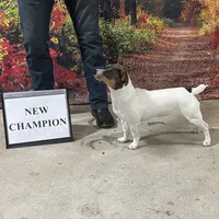 processed/7e13a1a8-26d2-4c0a-80b2-1f96a9f5bca6/facility/b2fafbf8-c429-4a2c-8963-581eaac6cc02