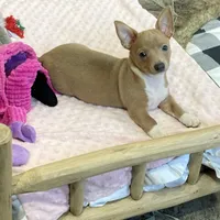 processed/7e13a1a8-26d2-4c0a-80b2-1f96a9f5bca6/facility/d57ab6f8-bce5-4a50-9963-070618fe0a3a