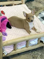 processed/7e13a1a8-26d2-4c0a-80b2-1f96a9f5bca6/facility/d57ab6f8-bce5-4a50-9963-070618fe0a3a