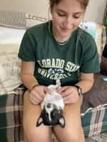 processed/7e13a1a8-26d2-4c0a-80b2-1f96a9f5bca6/facility/daaae51c-b45a-4e04-a388-31042b9f11fc