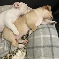 processed/7e13a1a8-26d2-4c0a-80b2-1f96a9f5bca6/facility/e1080652-dc18-43a1-94fc-f0397f75d70a