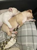 processed/7e13a1a8-26d2-4c0a-80b2-1f96a9f5bca6/facility/e1080652-dc18-43a1-94fc-f0397f75d70a