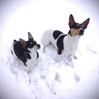 processed/7e13a1a8-26d2-4c0a-80b2-1f96a9f5bca6/facility/e16a294f-2cd7-41c2-81d6-4c8f383f37cf