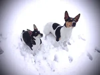 processed/7e13a1a8-26d2-4c0a-80b2-1f96a9f5bca6/facility/e16a294f-2cd7-41c2-81d6-4c8f383f37cf