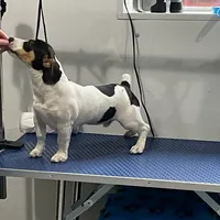 processed/7e13a1a8-26d2-4c0a-80b2-1f96a9f5bca6/facility/e4f591ec-c70b-4483-9ce2-d96147c1c7b2