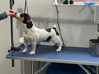 processed/7e13a1a8-26d2-4c0a-80b2-1f96a9f5bca6/facility/e4f591ec-c70b-4483-9ce2-d96147c1c7b2