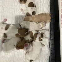 processed/7e13a1a8-26d2-4c0a-80b2-1f96a9f5bca6/facility/e7181a67-d379-40d8-8d8a-e4e6f7833d4d