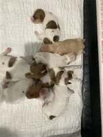 processed/7e13a1a8-26d2-4c0a-80b2-1f96a9f5bca6/facility/e7181a67-d379-40d8-8d8a-e4e6f7833d4d