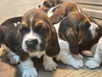 processed/7e1cef97-5487-4817-88f3-055cfee7e064/facility/2cefa14b-aab0-44e6-96a2-2ca32090fccd