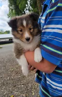 processed/7e1cef97-5487-4817-88f3-055cfee7e064/facility/82fc0e8e-8038-4c05-85d3-2fb0ef49a185