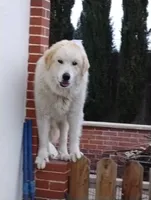 processed/7e24cd0d-8482-452a-8a7a-62156869e6b1/listing/09450c64-6395-490b-9eca-6bfa9a0eaeda/1a0689b9-8fa6-4644-b99e-c60e80703cc2