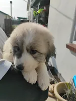 processed/7e24cd0d-8482-452a-8a7a-62156869e6b1/listing/09450c64-6395-490b-9eca-6bfa9a0eaeda/2792de8f-35a8-49e9-bca2-f6c0dc36ded8