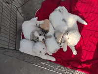 processed/7e24cd0d-8482-452a-8a7a-62156869e6b1/listing/09450c64-6395-490b-9eca-6bfa9a0eaeda/31cb28a4-4abc-4f8e-86ac-3cd4d84f321b