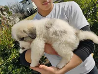 processed/7e24cd0d-8482-452a-8a7a-62156869e6b1/listing/09450c64-6395-490b-9eca-6bfa9a0eaeda/be76ce47-5acc-4584-afa6-88993ca8793c