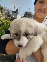 processed/7e24cd0d-8482-452a-8a7a-62156869e6b1/listing/09450c64-6395-490b-9eca-6bfa9a0eaeda/cca53f20-e311-42aa-80f7-12fa48e38737