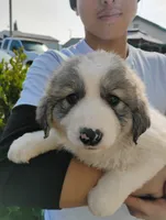 processed/7e24cd0d-8482-452a-8a7a-62156869e6b1/listing/1cceeb54-551d-4859-9112-381d69641ec5/44757176-905b-4f13-88d5-faf023b5ded4