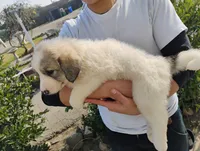 processed/7e24cd0d-8482-452a-8a7a-62156869e6b1/listing/1cceeb54-551d-4859-9112-381d69641ec5/9c92f957-866c-4865-ac48-e1cd35028477