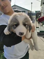 processed/7e24cd0d-8482-452a-8a7a-62156869e6b1/listing/1cceeb54-551d-4859-9112-381d69641ec5/9f7dddae-8f96-4a35-8e75-e80c483e2c00