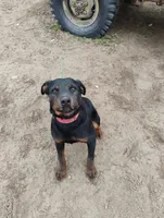 processed/7e24cd0d-8482-452a-8a7a-62156869e6b1/listing/4e53a72e-4cbd-4158-832f-c9f0f52439af/3827b38c-0dd6-46e1-b86f-21b52ba1227d