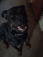 processed/7e24cd0d-8482-452a-8a7a-62156869e6b1/listing/4e53a72e-4cbd-4158-832f-c9f0f52439af/618754fd-52f6-4c12-9cf1-0b247df15875