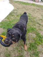 processed/7e24cd0d-8482-452a-8a7a-62156869e6b1/listing/4e53a72e-4cbd-4158-832f-c9f0f52439af/7097f707-4ad5-45a6-8e64-c6c61d70e5a0