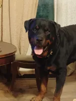 processed/7e24cd0d-8482-452a-8a7a-62156869e6b1/listing/4e53a72e-4cbd-4158-832f-c9f0f52439af/e984a941-7366-489a-ab87-890f5703bd4d