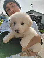 processed/7e24cd0d-8482-452a-8a7a-62156869e6b1/listing/cbeaf508-dcd9-4c1c-8d43-e04cf008c9fc/033846da-79e1-46b9-883e-d3a9f9a63120