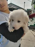 processed/7e24cd0d-8482-452a-8a7a-62156869e6b1/listing/cbeaf508-dcd9-4c1c-8d43-e04cf008c9fc/3ae099aa-e2b6-418c-88a3-96b00a0c1650