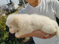 processed/7e24cd0d-8482-452a-8a7a-62156869e6b1/listing/cbeaf508-dcd9-4c1c-8d43-e04cf008c9fc/583a15ee-13af-481f-9d5c-6bc6f51ce1b8