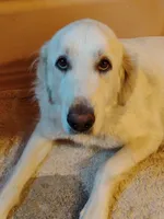 processed/7e24cd0d-8482-452a-8a7a-62156869e6b1/listing/cbeaf508-dcd9-4c1c-8d43-e04cf008c9fc/967d4506-f176-46c3-b5c7-03241c10a565