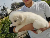 processed/7e24cd0d-8482-452a-8a7a-62156869e6b1/listing/dcabf63c-7e9c-46dc-a38c-d458c17ca01e/1d768f4a-e056-4e3f-9169-ff9231efd40c