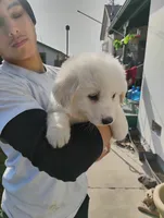 processed/7e24cd0d-8482-452a-8a7a-62156869e6b1/listing/dcabf63c-7e9c-46dc-a38c-d458c17ca01e/39058875-1390-47a0-baa9-3f663f5bceec