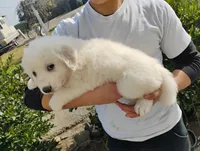 processed/7e24cd0d-8482-452a-8a7a-62156869e6b1/listing/dcabf63c-7e9c-46dc-a38c-d458c17ca01e/db9fc03f-c98a-4a82-9203-89fc1ca9f0c7