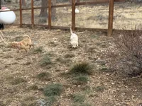 processed/7e255969-8741-4d0c-a778-35079cde4eec/facility/7b1b4424-c0f7-48c5-982a-0c5077bc8902