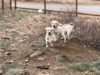 processed/7e255969-8741-4d0c-a778-35079cde4eec/facility/b12a9094-a8d7-46d4-b452-c4c0589cd7bd