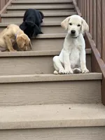 processed/7e255969-8741-4d0c-a778-35079cde4eec/facility/dd7b3714-582b-43ea-b7fa-cc5d6f919b1b