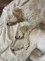 processed/7e255969-8741-4d0c-a778-35079cde4eec/facility/e45fa56e-8e87-4b33-8a31-2f1c20e19e07