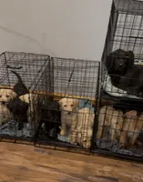 processed/7e255969-8741-4d0c-a778-35079cde4eec/facility/f97e4811-a754-4b6c-85bb-46e383d97a18