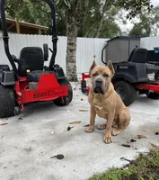 processed/7e25c020-d94b-48af-8484-4188a707d457/facility/3a5a23c5-1dc2-49da-9321-8c0001a567a4