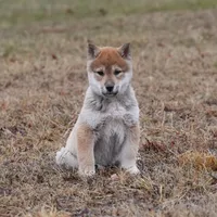 processed/7e261df7-c9cd-440d-a5e5-4a3921358262/listing/295c8512-6d86-4a5a-99d9-23ca5ef4a80e/3cadce2d-74d9-4b30-8c50-71cc22a98c24