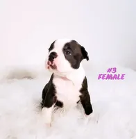 processed/7e26c072-15b5-45f1-a6c7-c43016ed5894/facility/005164d5-919b-49f4-8c77-051c301db305