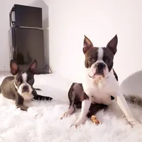 processed/7e26c072-15b5-45f1-a6c7-c43016ed5894/facility/48f94072-8f94-43d9-8928-953e2ba32ed8