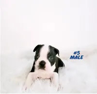 processed/7e26c072-15b5-45f1-a6c7-c43016ed5894/facility/aa50f4eb-651a-4e72-b247-95803dc1f968